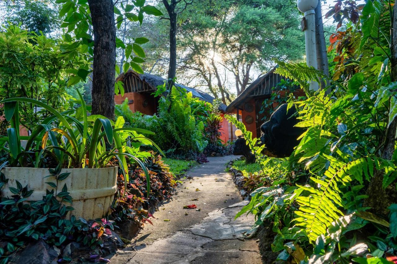 维多利亚大瀑布背包客小屋 维多利亚瀑布 外观 照片