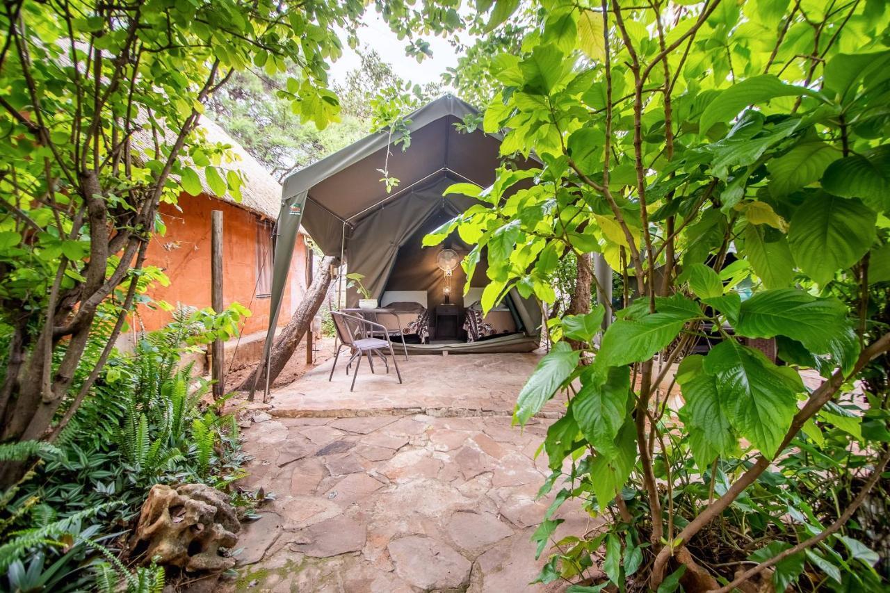 维多利亚大瀑布背包客小屋 维多利亚瀑布 外观 照片